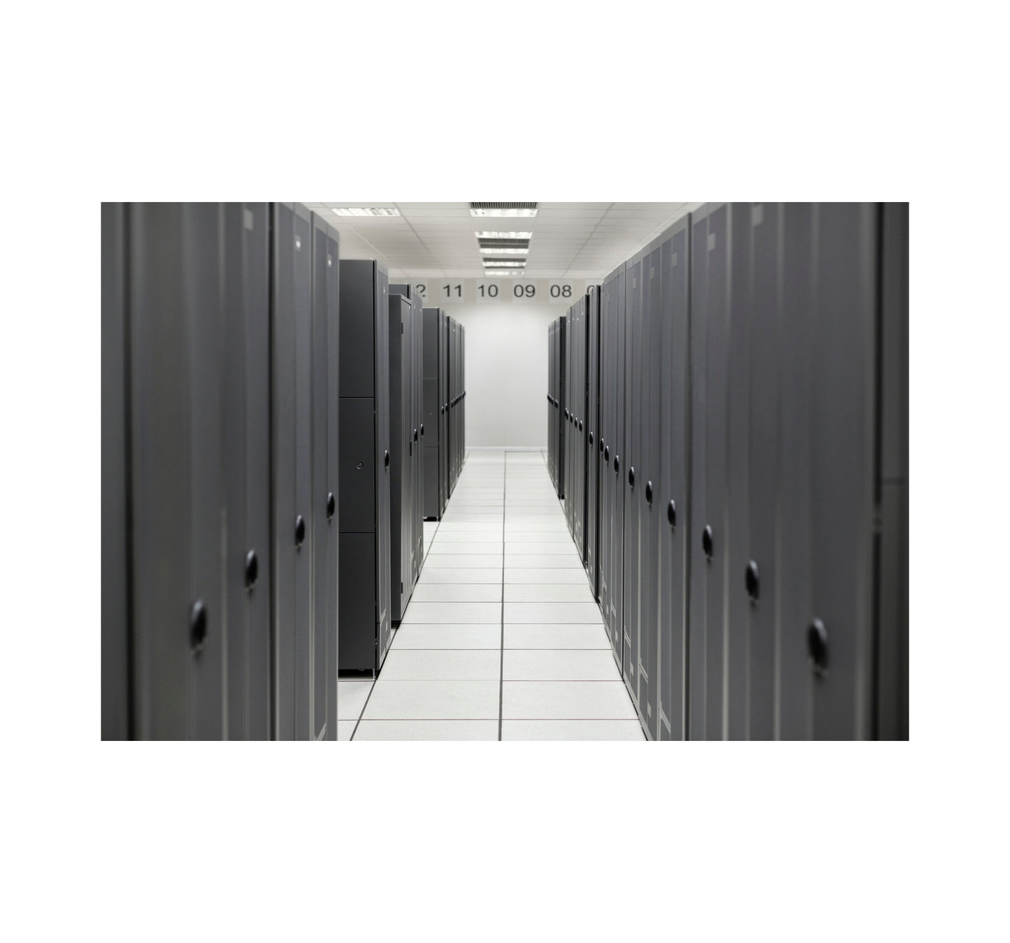 HPE P65098-B21 | ProLiant ML30 Gen11 NS204i-u Cable Kit
