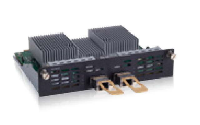 Black Check Point CPAC-2-40/100F-C 2-port 10/25/40/100G interface card with heat sinks and gold terminal connectors
