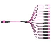 Turbo X MPO-OM4DA-3-24-M-LC MPO Cable - Male Connector-LC Multimode Duplex Fiber, Type-A, 3 meter, Fiber 24, OM4